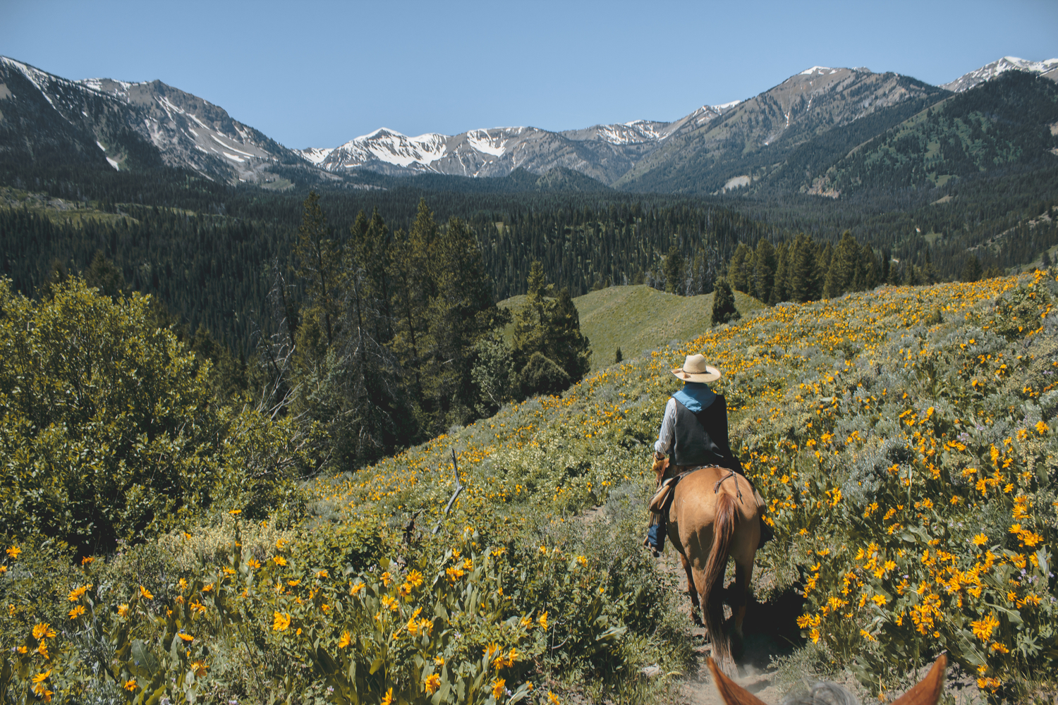 Horseback Riding