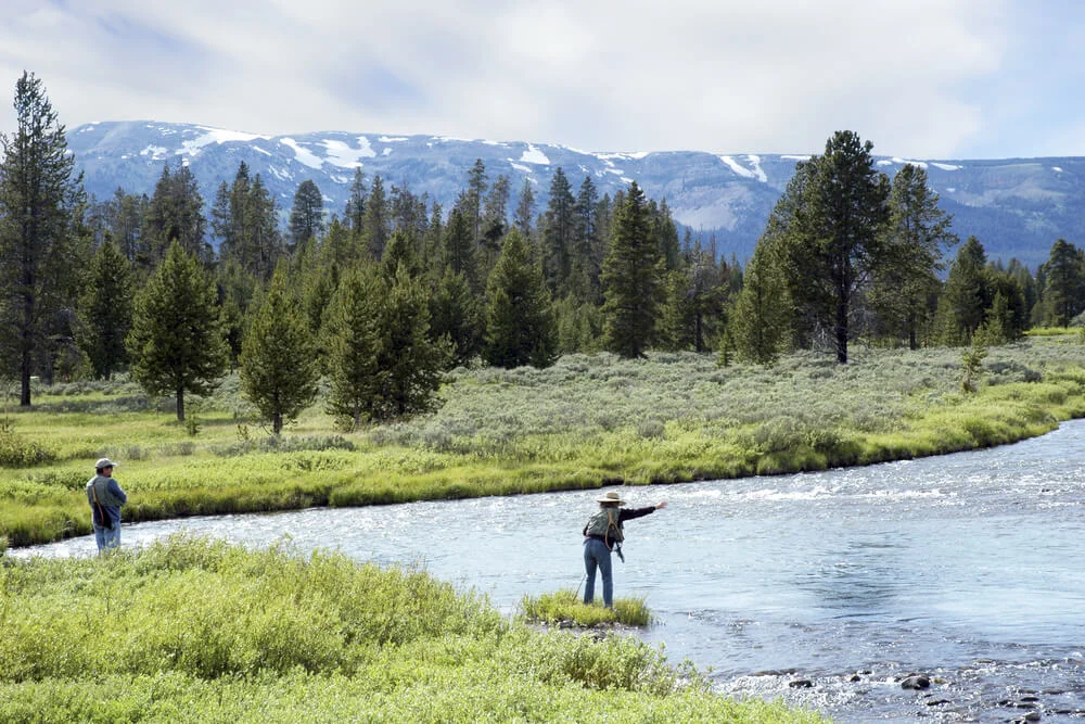 Two anglers fly fishing a clear mountain river surrounded by pine trees and snowy peaks