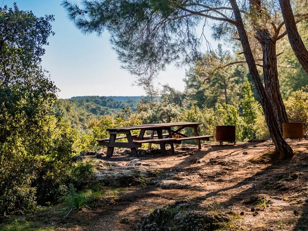 Wooden picnic table beneath pine trees overlooking a forested valley